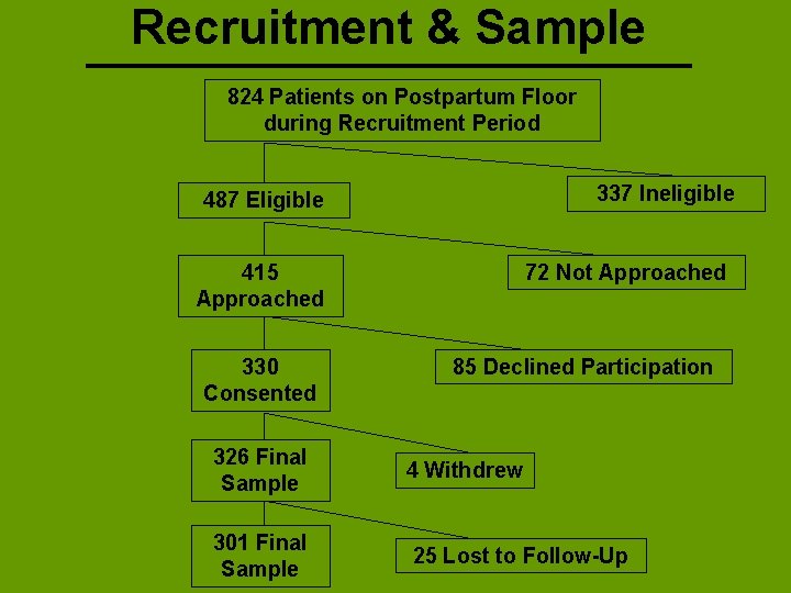 Recruitment & Sample 824 Patients on Postpartum Floor during Recruitment Period 337 Ineligible 487