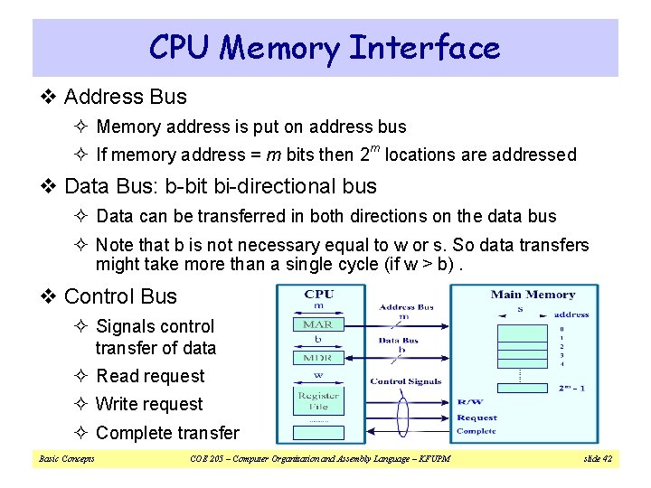 CPU Memory Interface v Address Bus ² Memory address is put on address bus