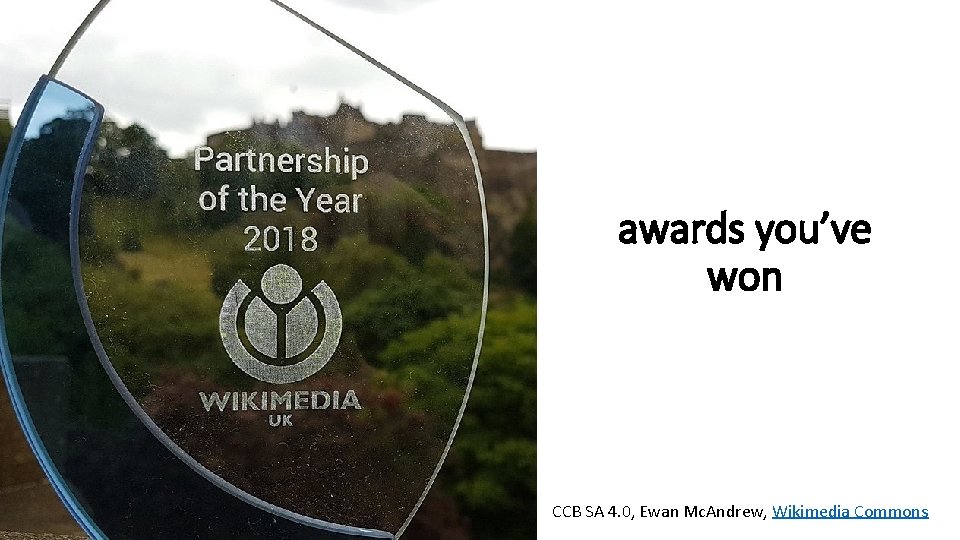 awards you’ve won CCB SA 4. 0, Ewan Mc. Andrew, Wikimedia Commons 