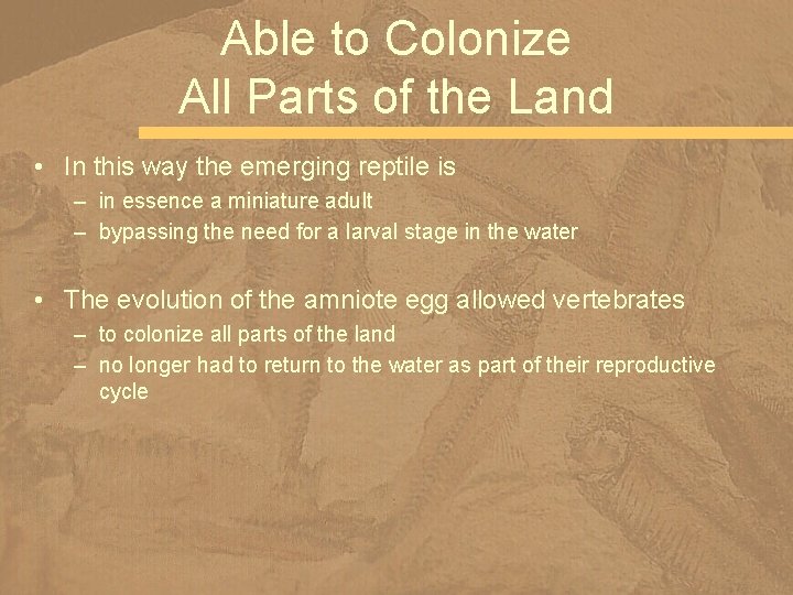 Able to Colonize All Parts of the Land • In this way the emerging