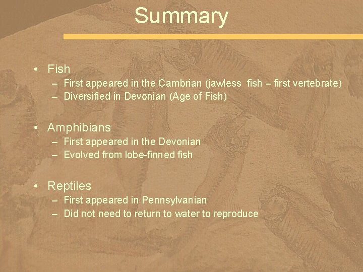 Summary • Fish – First appeared in the Cambrian (jawless fish – first vertebrate)