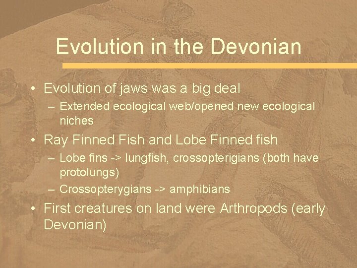 Evolution in the Devonian • Evolution of jaws was a big deal – Extended