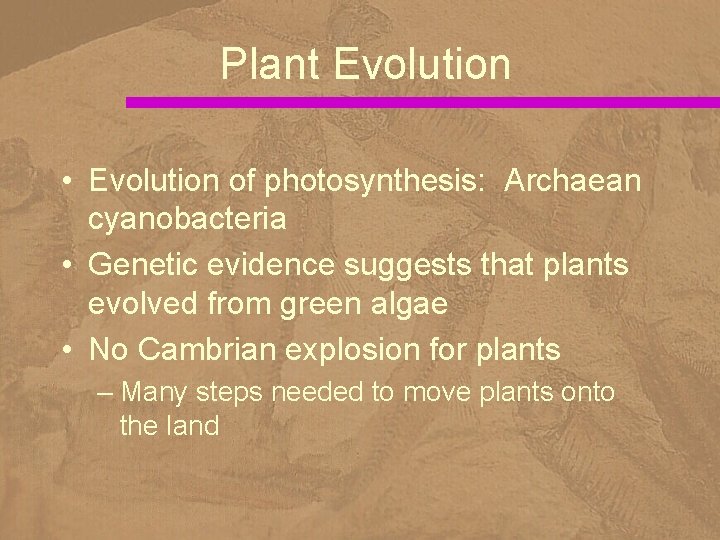 Plant Evolution • Evolution of photosynthesis: Archaean cyanobacteria • Genetic evidence suggests that plants