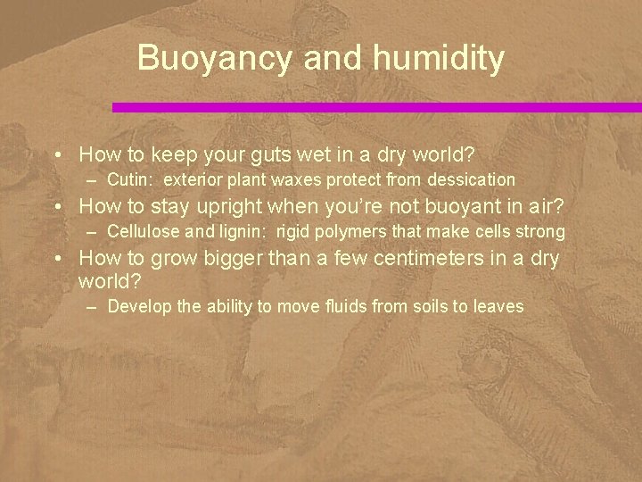 Buoyancy and humidity • How to keep your guts wet in a dry world?