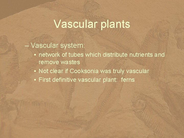 Vascular plants – Vascular system: • network of tubes which distribute nutrients and remove