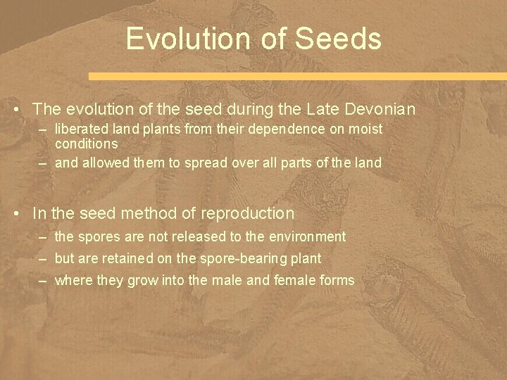 Evolution of Seeds • The evolution of the seed during the Late Devonian –