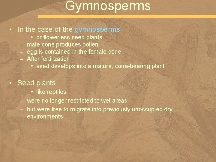Gymnosperms • In the case of the gymnosperms • or flowerless seed plants –
