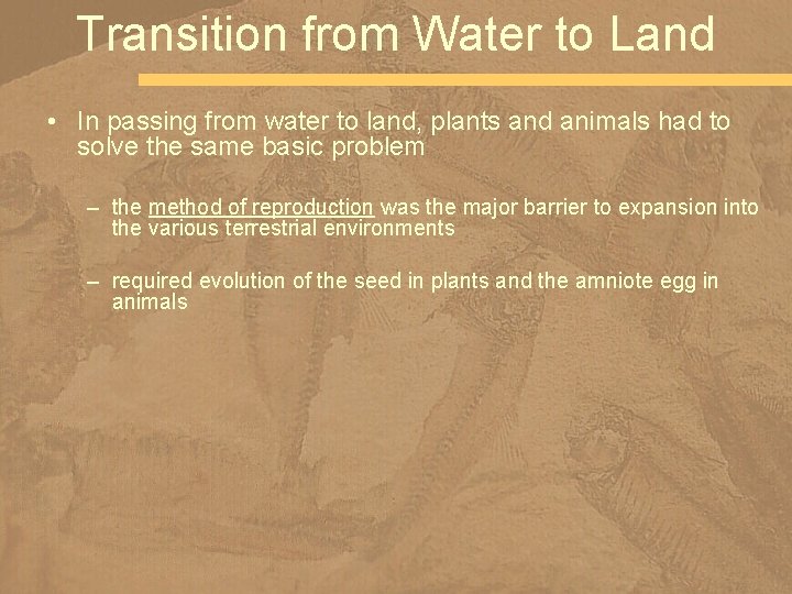 Transition from Water to Land • In passing from water to land, plants and