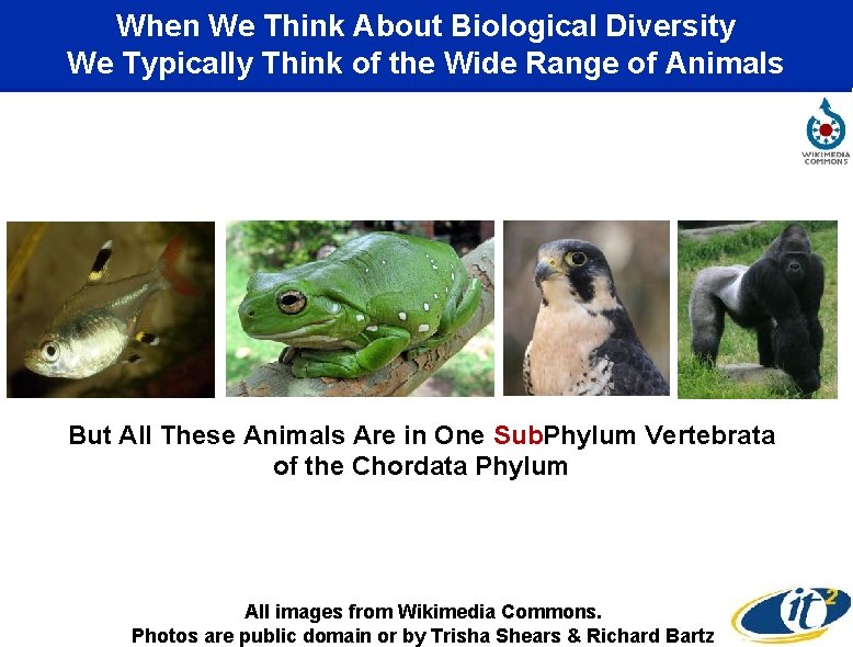 When We Think About Biological Diversity We Typically Think of the Wide Range of