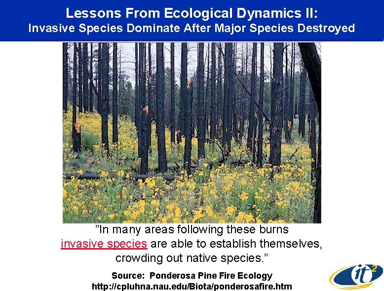 Lessons From Ecological Dynamics II: Invasive Species Dominate After Major Species Destroyed ”In many