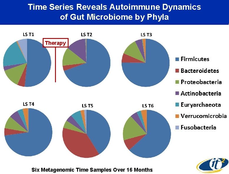 Time Series Reveals Autoimmune Dynamics of Gut Microbiome by Phyla Therapy Six Metagenomic Time