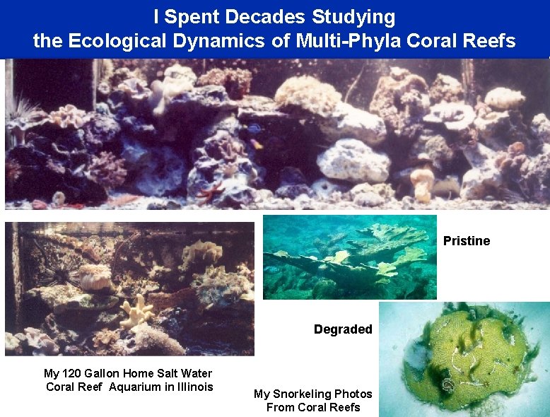 I Spent Decades Studying the Ecological Dynamics of Multi-Phyla Coral Reefs Pristine Degraded My