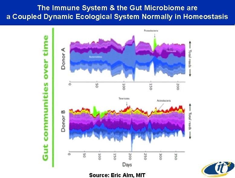 The Immune System & the Gut Microbiome are a Coupled Dynamic Ecological System Normally