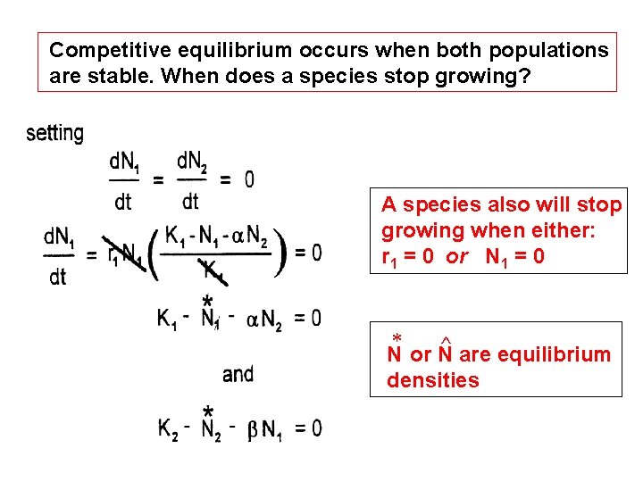 Competitive equilibrium occurs when both populations are stable. When does a species stop growing?
