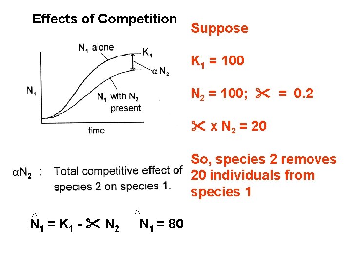 Effects of Competition Suppose K 1 = 100 N 2 = 100; = 0.