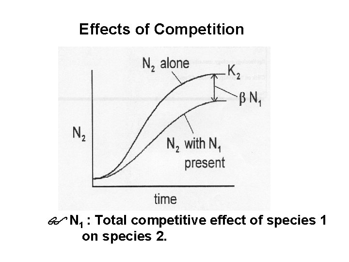 Effects of Competition N 1 : Total competitive effect of species 1 on species
