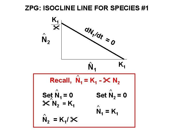ZPG: ISOCLINE FOR SPECIES #1 K 1 d. N 1 /d ^ N 2