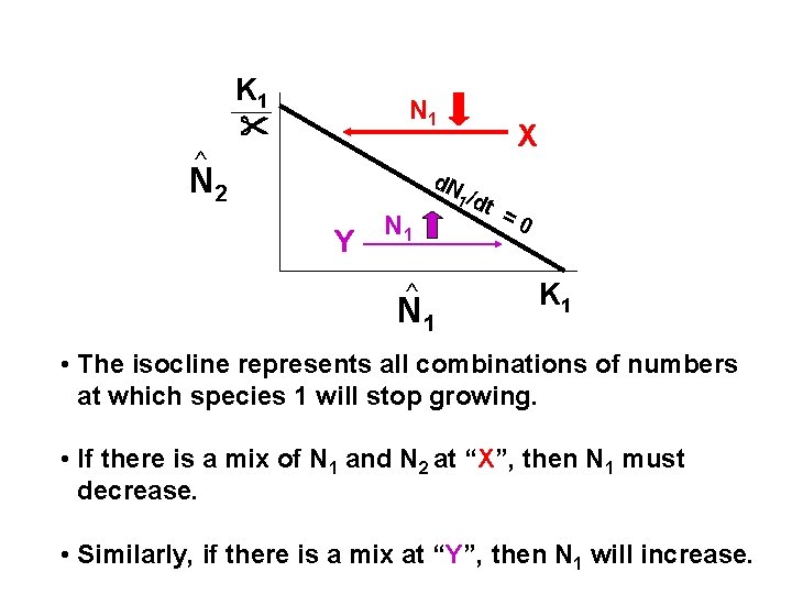 K 1 N 1 ^ N 2 X d. N Y N 1 ^