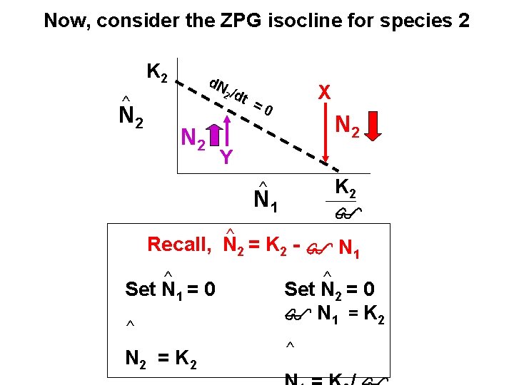 Now, consider the ZPG isocline for species 2 K 2 d. N ^ N