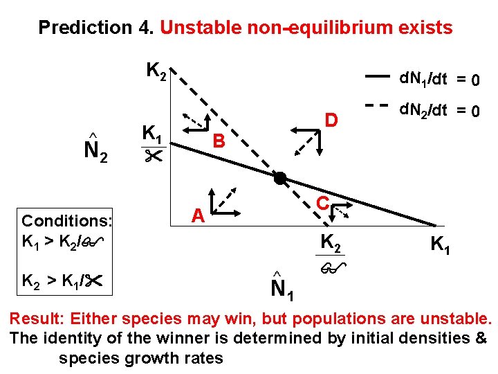 Prediction 4. Unstable non-equilibrium exists K 2 ^ N 2 Conditions: K 1 >