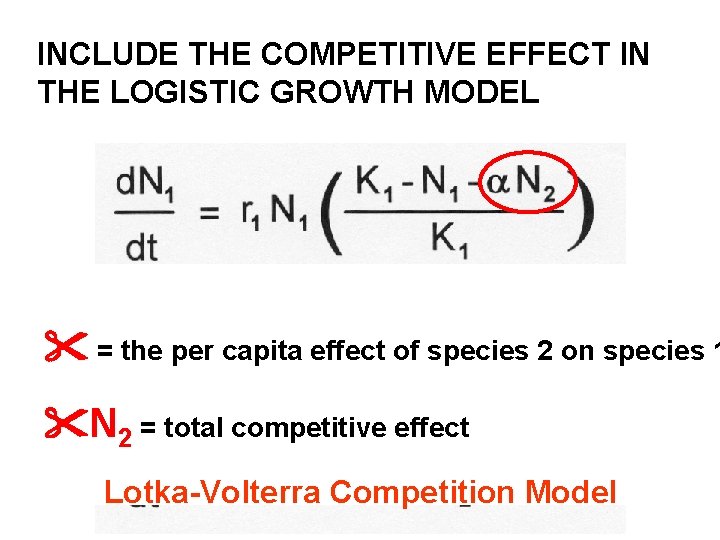 INCLUDE THE COMPETITIVE EFFECT IN THE LOGISTIC GROWTH MODEL = the per capita effect