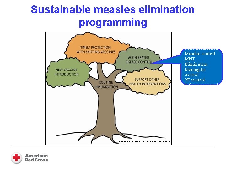 Sustainable measles elimination programming Polio Eradication Measles control MNT Elimination Meningitis control YF control
