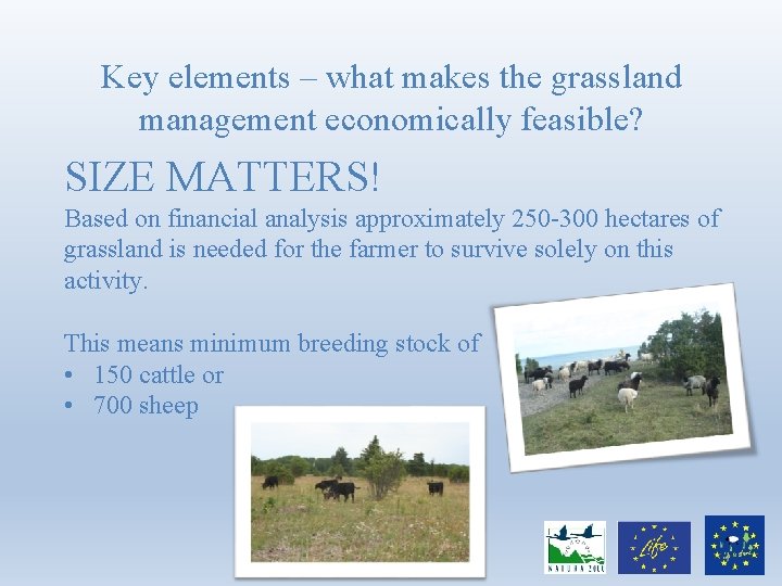 Key elements – what makes the grassland management economically feasible? SIZE MATTERS! Based on