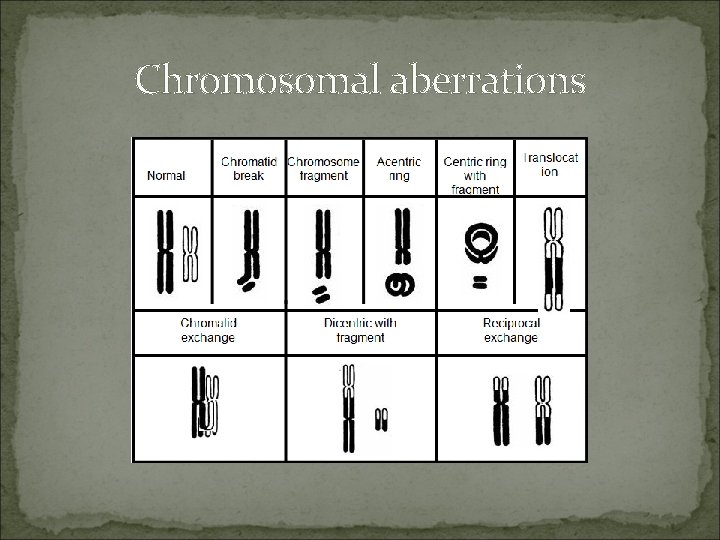 Chromosomal aberrations 