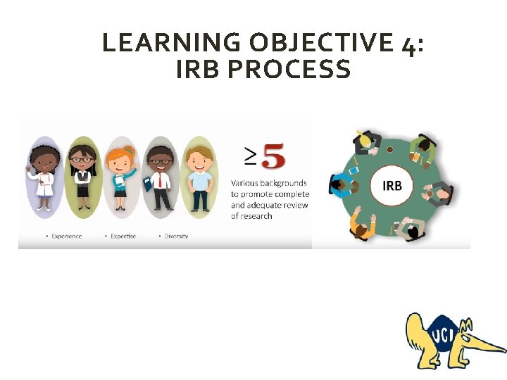 LEARNING OBJECTIVE 4: IRB PROCESS 