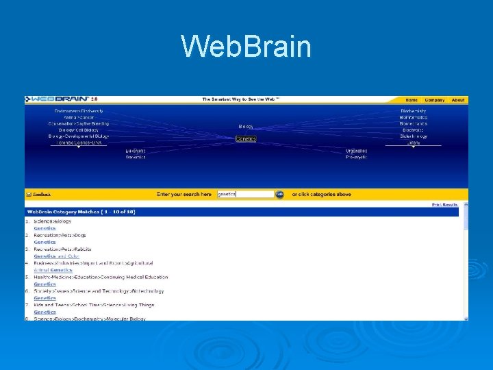 Web. Brain 