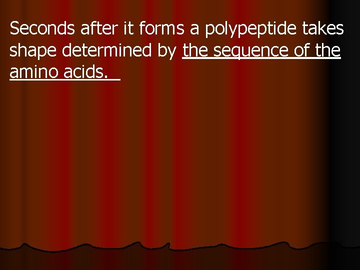 Seconds after it forms a polypeptide takes shape determined by the sequence of the