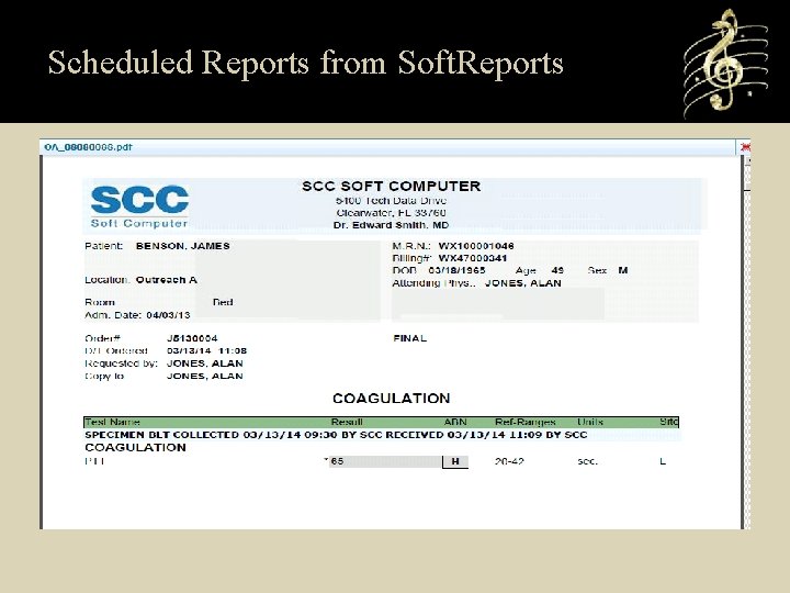 Scheduled Reports from Soft. Reports 
