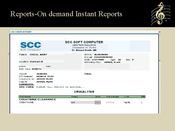 Reports-On demand Instant Reports 