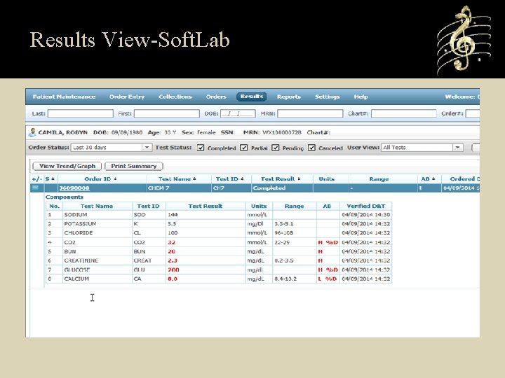 Results View-Soft. Lab 
