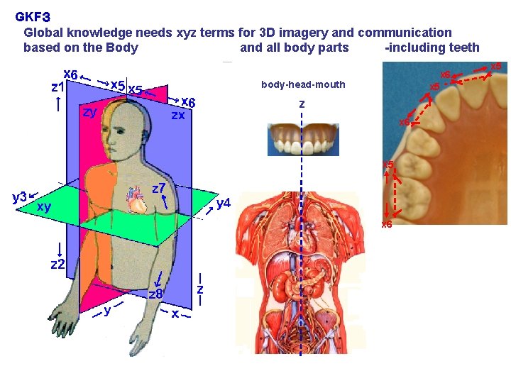 GKF３ Global knowledge needs xyz terms for 3 D imagery and communication based on