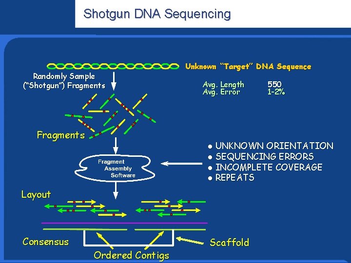 Shotgun DNA Sequencing Informatics Research Randomly Sample (“Shotgun”) Fragments Unknown “Target” DNA Sequence Avg.