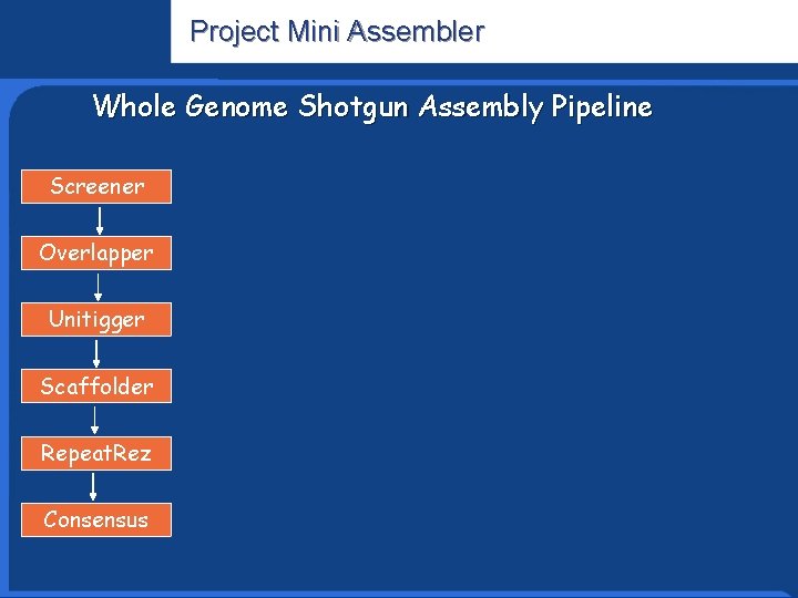 Project Mini Assembler Whole Genome Shotgun Assembly Pipeline Screener Overlapper Unitigger Scaffolder Repeat. Rez