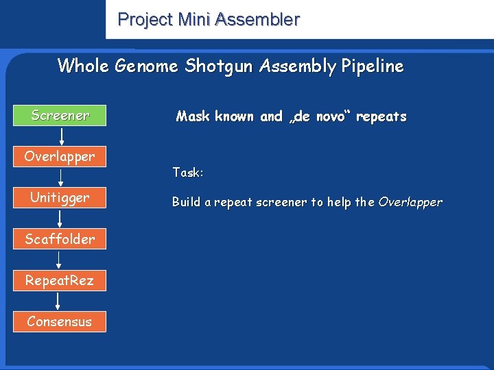 Project Mini Assembler Whole Genome Shotgun Assembly Pipeline Screener Overlapper Unitigger Scaffolder Repeat. Rez
