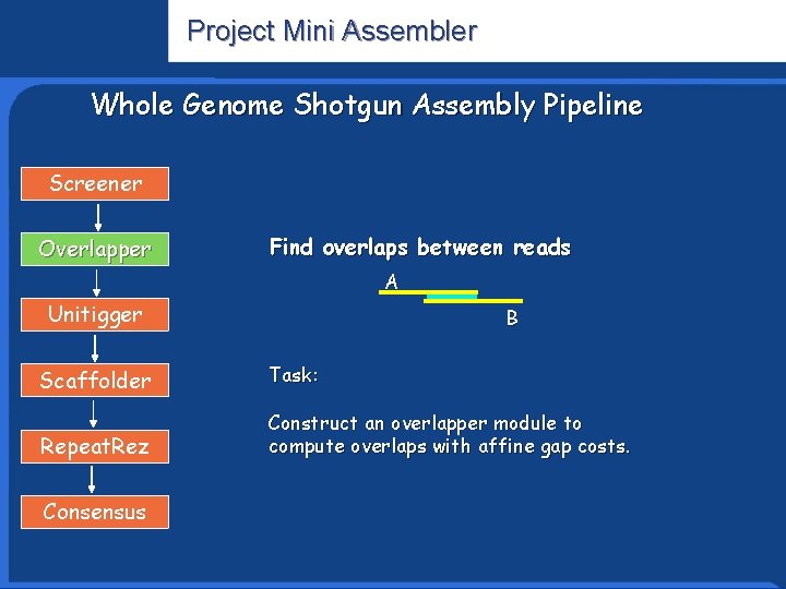 Project Mini Assembler Whole Genome Shotgun Assembly Pipeline Screener Overlapper Find overlaps between reads