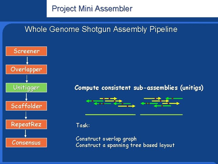 Project Mini Assembler Informatics Research Whole Genome Shotgun Assembly Pipeline Screener Overlapper Unitigger Compute
