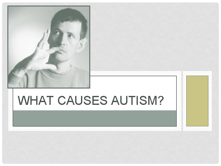 WHAT CAUSES AUTISM? 