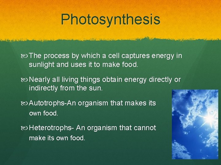 Photosynthesis The process by which a cell captures energy in sunlight and uses it