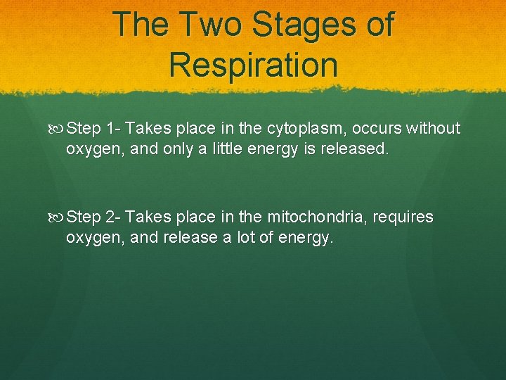 The Two Stages of Respiration Step 1 - Takes place in the cytoplasm, occurs