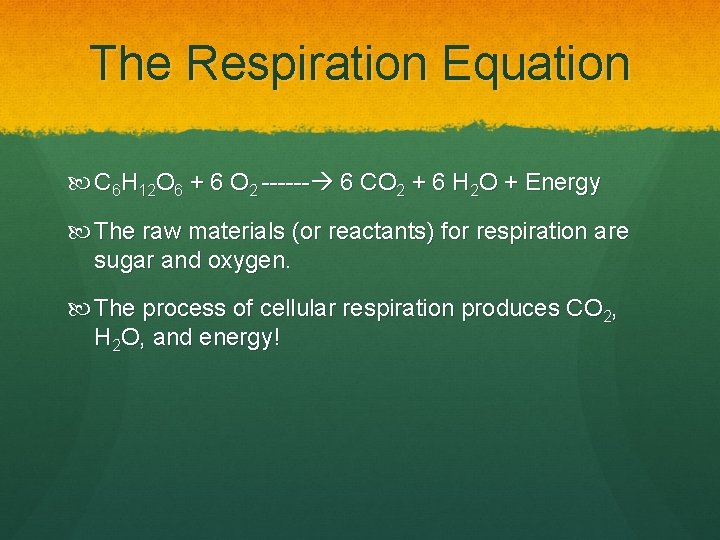The Respiration Equation C 6 H 12 O 6 + 6 O 2 ------