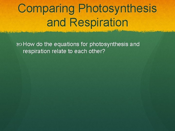 Comparing Photosynthesis and Respiration How do the equations for photosynthesis and respiration relate to