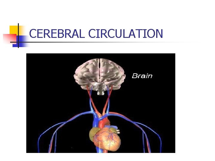 CEREBRAL CIRCULATION 