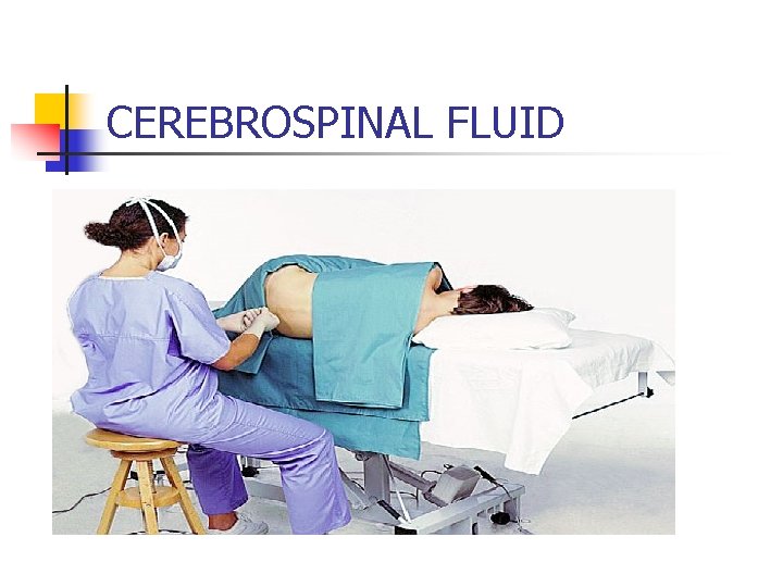 CEREBROSPINAL FLUID 