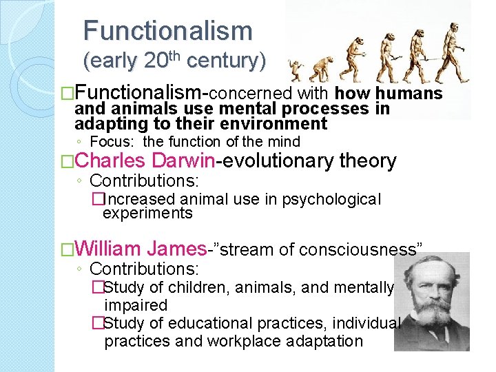 Functionalism (early 20 th century) �Functionalism-concerned with how humans and animals use mental processes