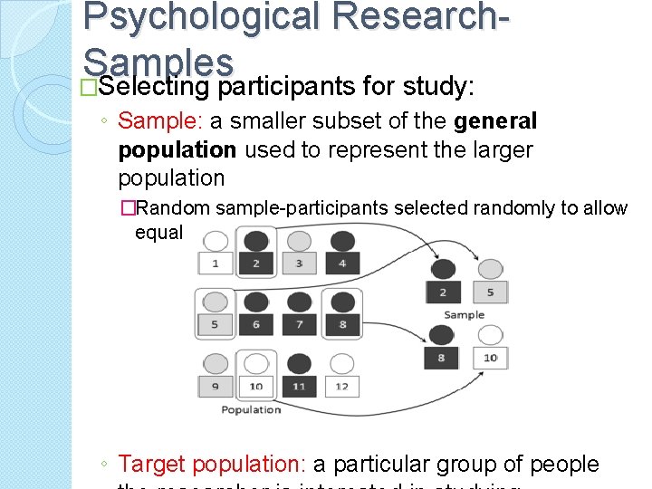 Psychological Research. Samples �Selecting participants for study: ◦ Sample: a smaller subset of the