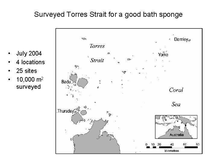 Surveyed Torres Strait for a good bath sponge • • July 2004 4 locations